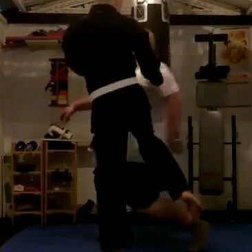 Polecat Volley Kick used in MMA